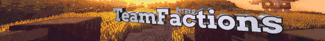 Team Factions minecraft server banner