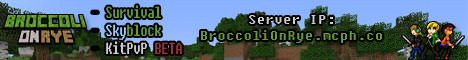 Broccoli On Rye minecraft server banner