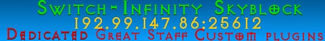 SwitchInfinity minecraft server banner