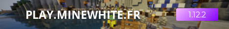 Minewhite minecraft server banner