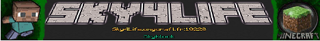 Sky4Life minecraft server banner