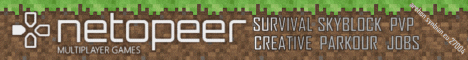 Net0peer minecraft server banner