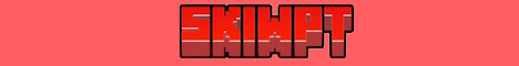 Skiwpt minecraft server banner