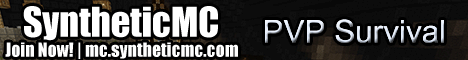 Synthetic MC minecraft server banner
