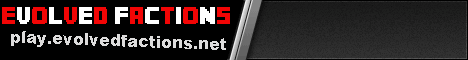 Evolved Network minecraft server banner