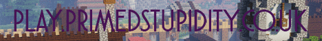Primed Stupidity Survival minecraft server banner