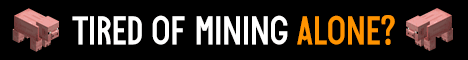 NetherHub 18+ minecraft server banner