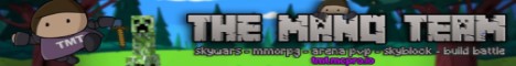 TMT NETWORK minecraft server banner