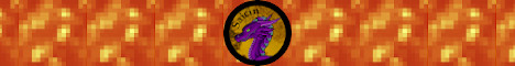 Saicin's Medieval Roost minecraft server banner