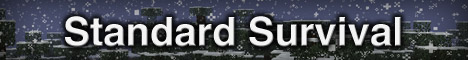 Standard Survival minecraft server banner