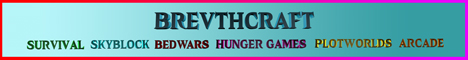 BrevthCraft minecraft server banner