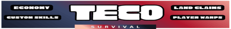 TECO minecraft server banner