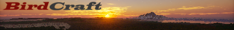 BirdCraft minecraft server banner