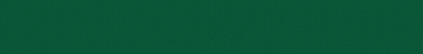 Survival Brasil minecraft server banner