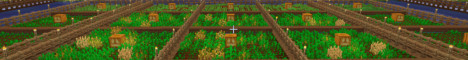 StoneAge | 1.21.11  minecraft server banner