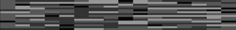 LappiSMP minecraft server banner